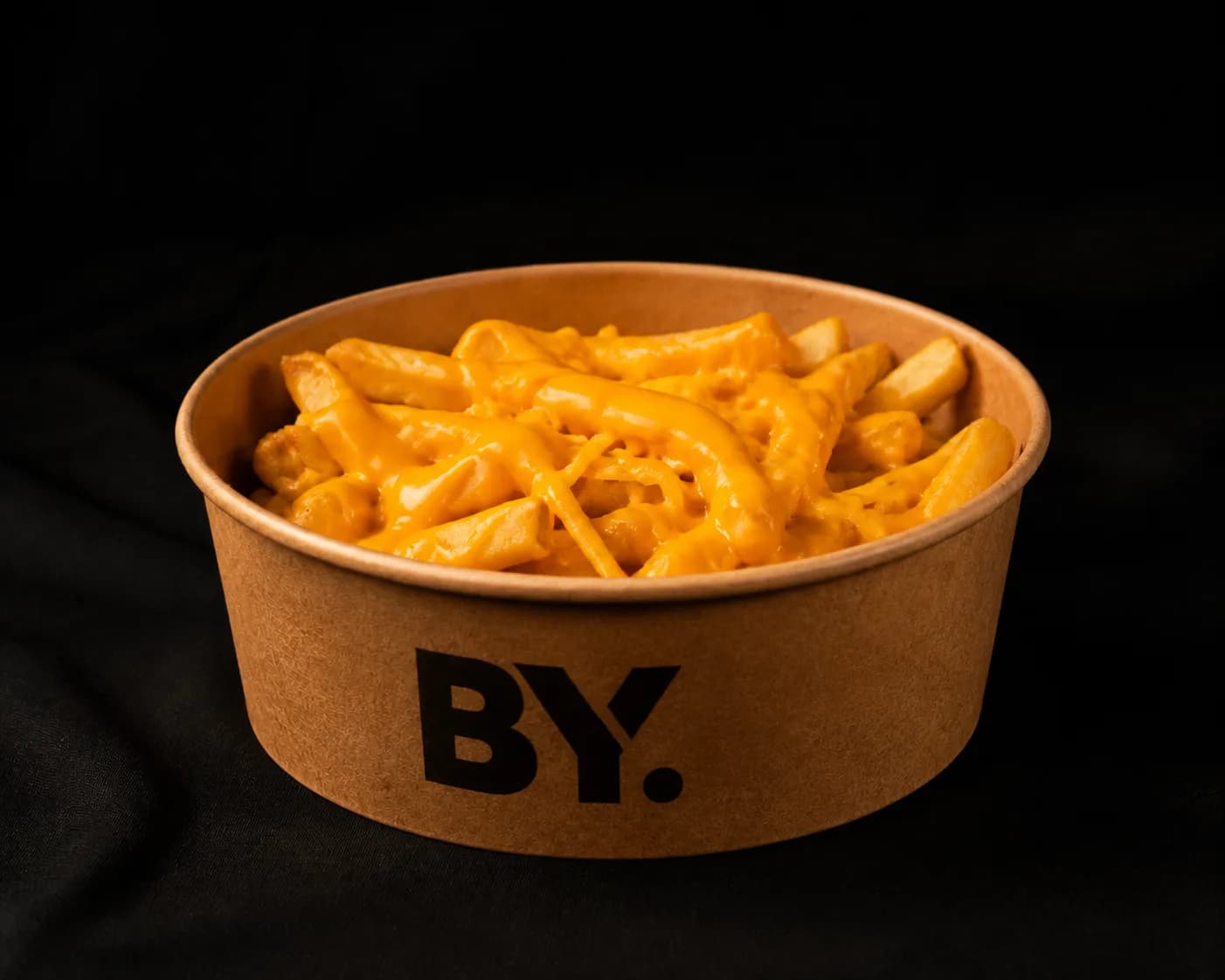Cheesy Fries